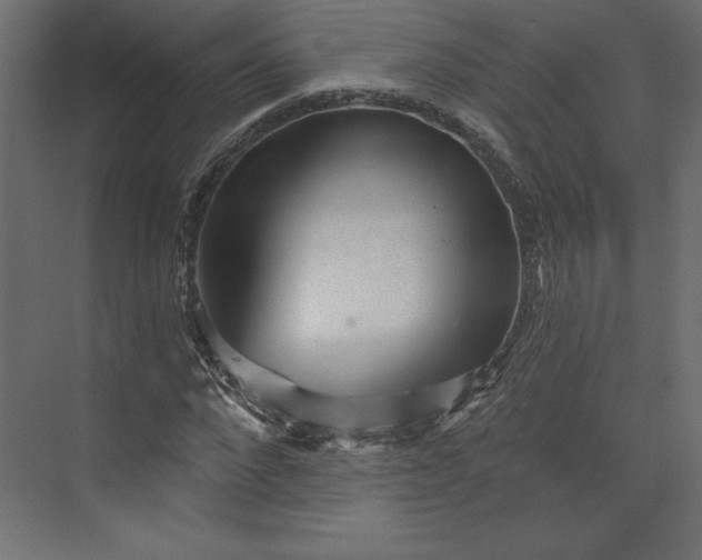 X0000073890872200608251429