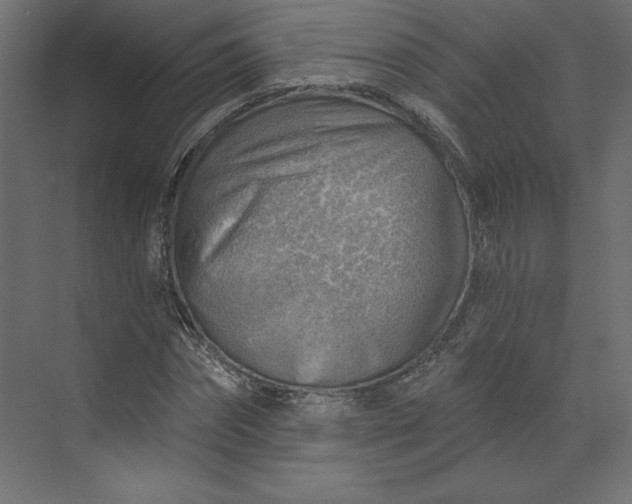 X0000073890874200608251429