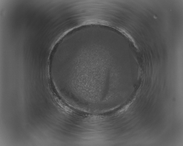 X0000073890877200608251428