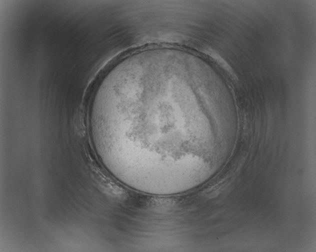 X0000073890878200608251428