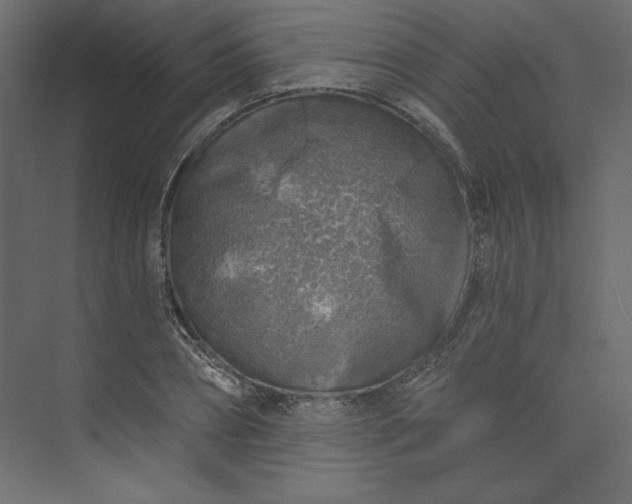 X0000073890882200608251428