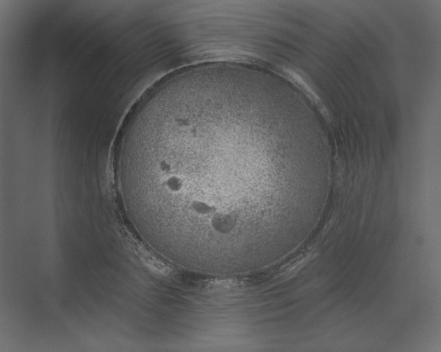 X0000073890883200608251428