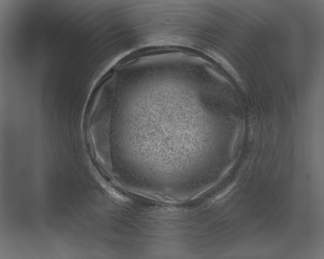 X0000073890885200608251428