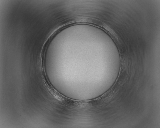 X0000073890886200608251428