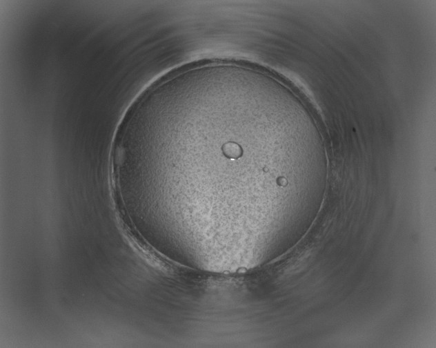 X0000073890887200608251428