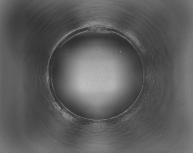 X0000073890888200608251428