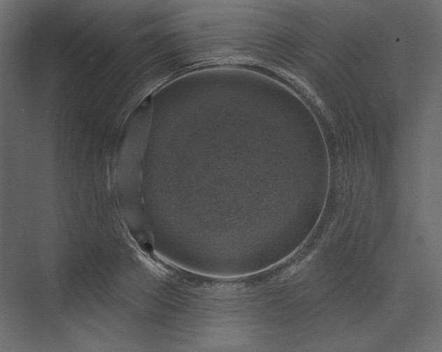 X0000073890889200608251428