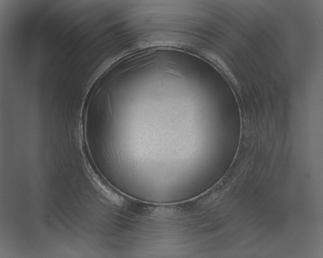 X0000073890890200608251428