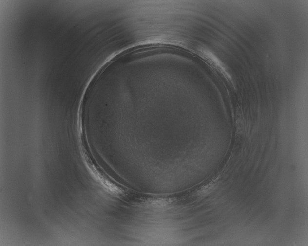 X0000073890892200608251428