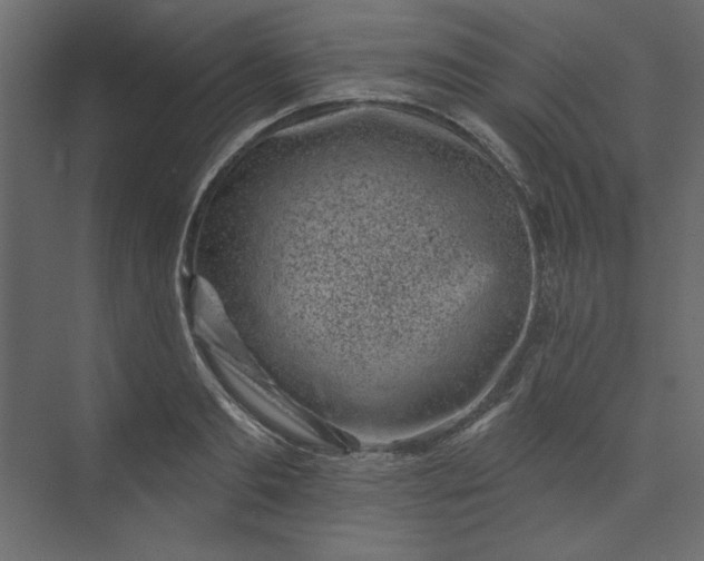 X0000073890893200608251428