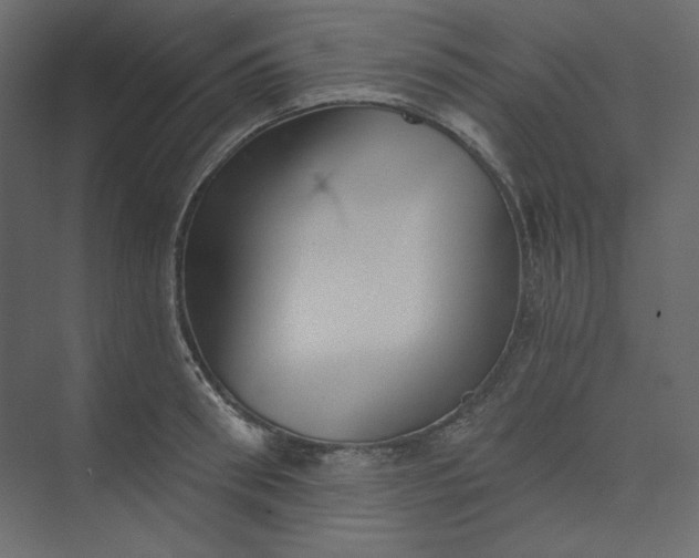 X0000073890898200608251428