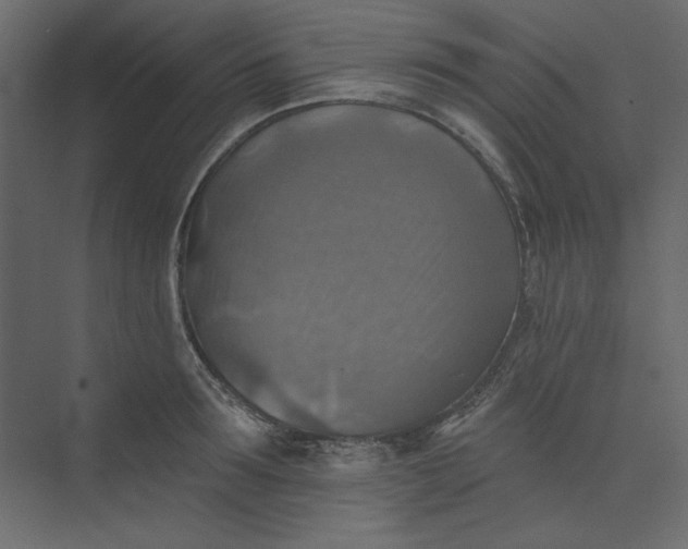 X0000073890899200608251428