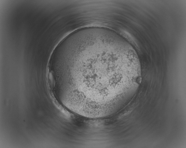 X0000073890900200608251428