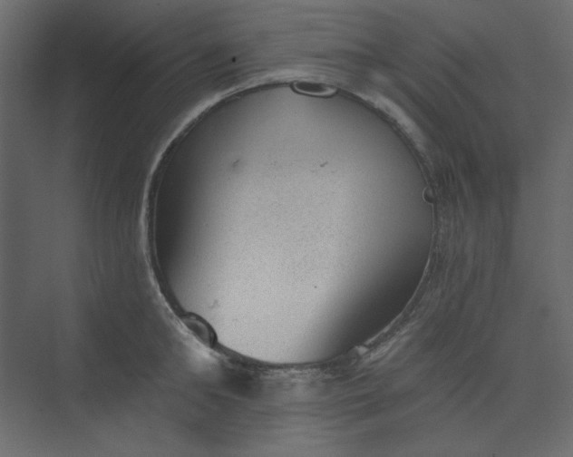 X0000073890902200608251428