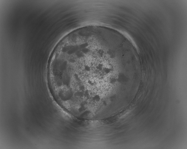 X0000073890903200608251428