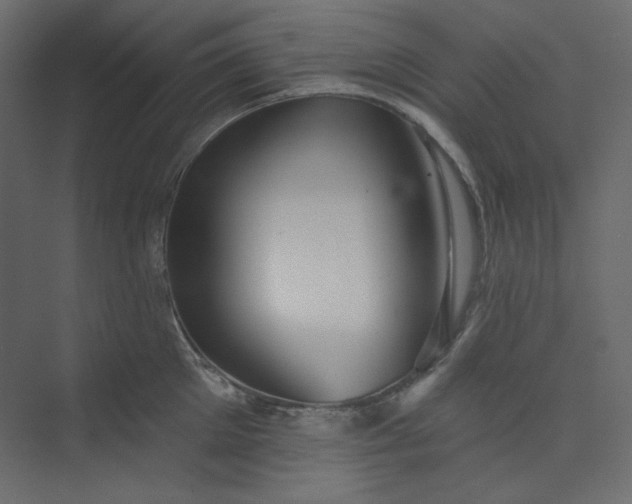 X0000073890905200608251428