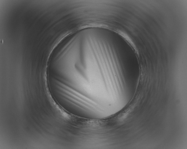 X0000073890906200608251428