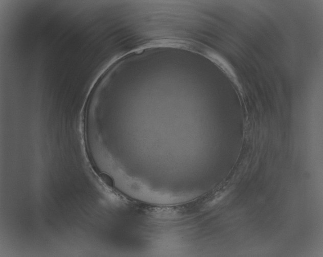 X0000073890907200608251428