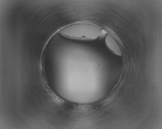 X0000073890908200608251428