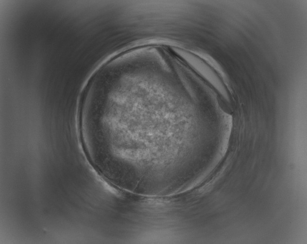 X0000073890910200608251428