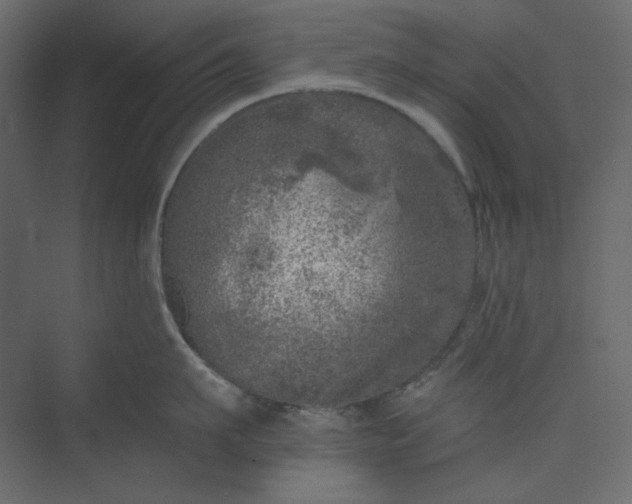 X0000073890911200608251428