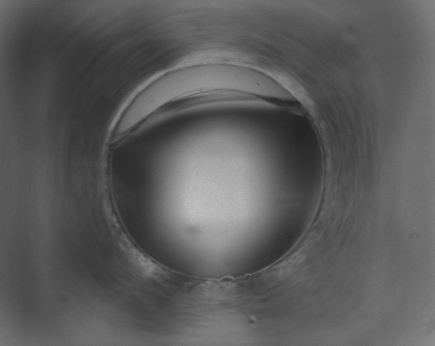 X0000073890912200608251428