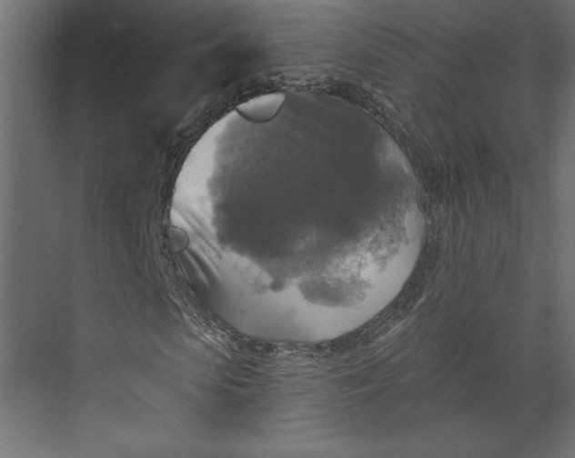 X0000073890913200608251427