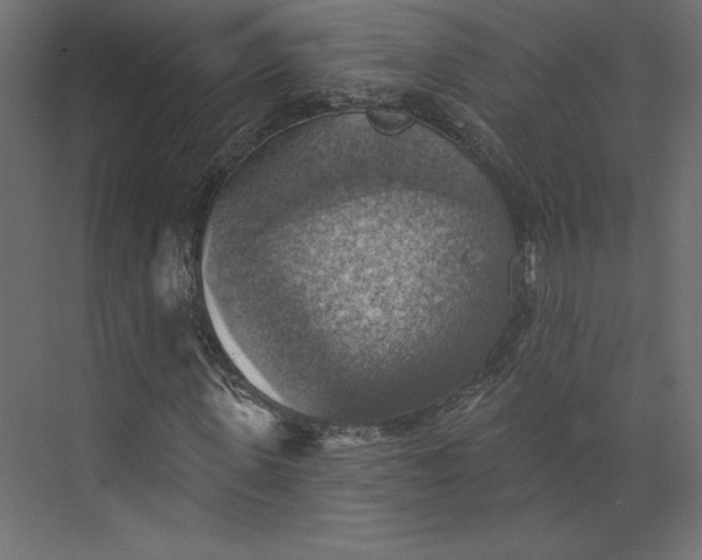 X0000073890915200608251427