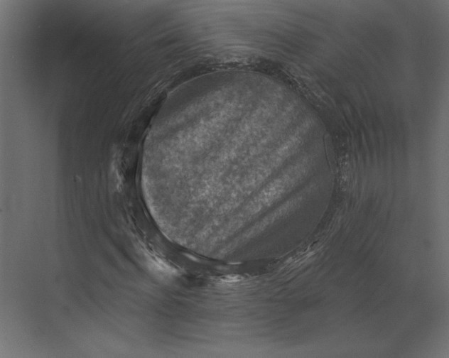 X0000073890916200608251427