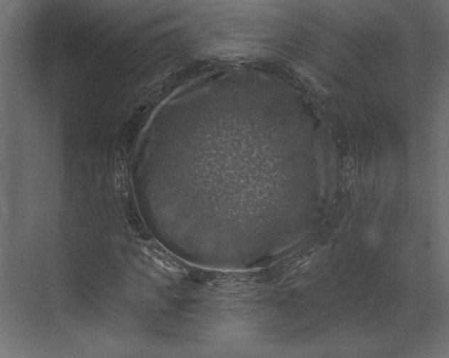 X0000073890917200608251427