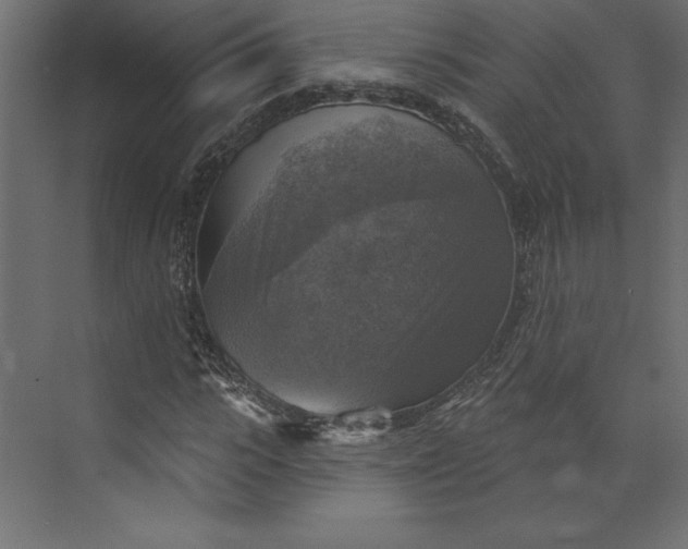 X0000073890919200608251427