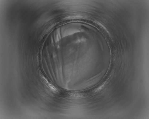 X0000073890921200608251427