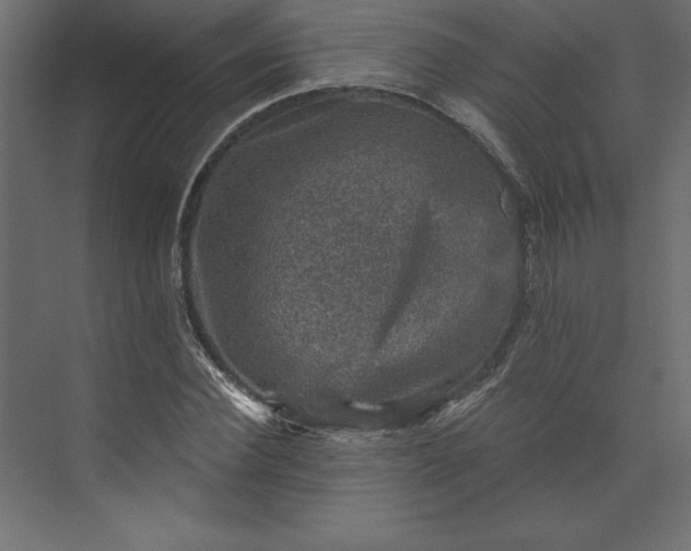 X0000073890924200608251427