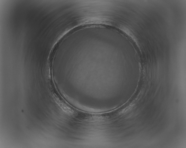 X0000073890925200608251427