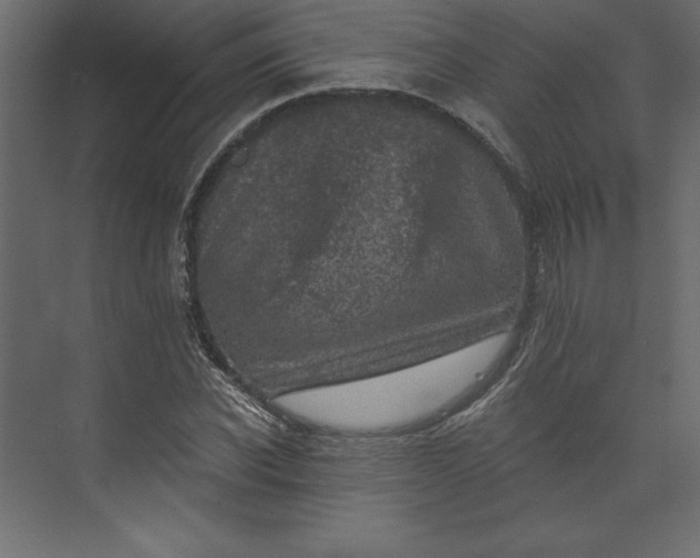 X0000073890926200608251427