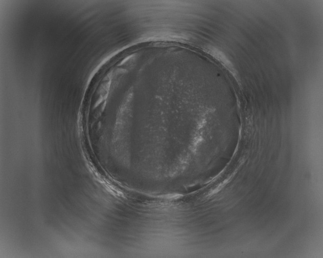 X0000073890928200608251427