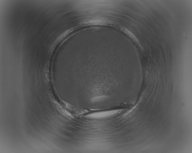 X0000073890930200608251427