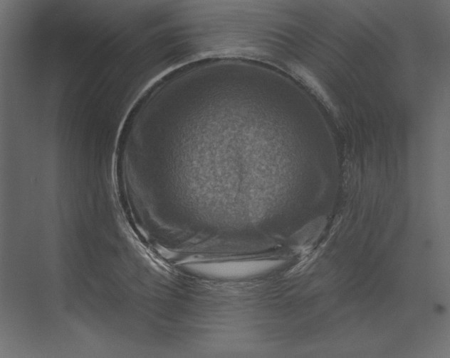 X0000073890932200608251427