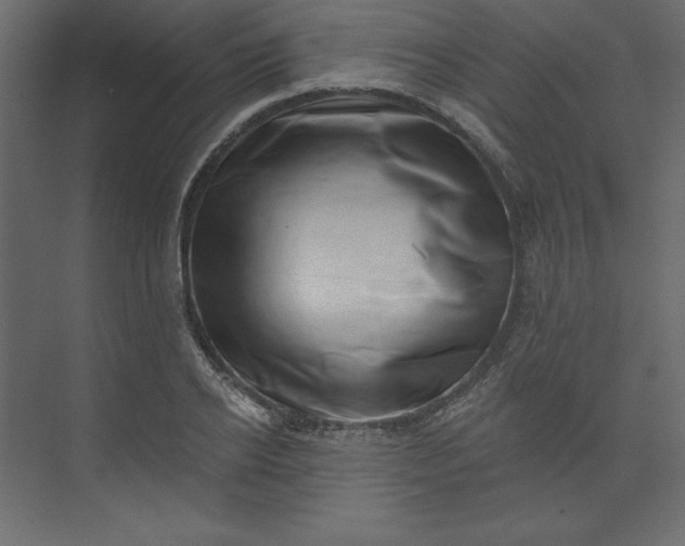 X0000073890934200608251427