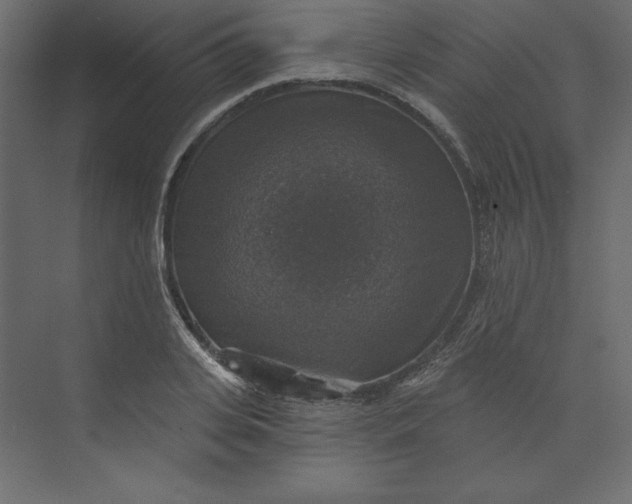 X0000073890935200608251427