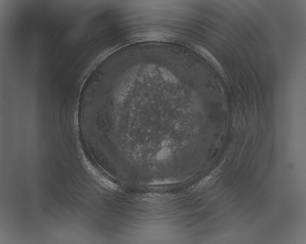 X0000073890938200608251428