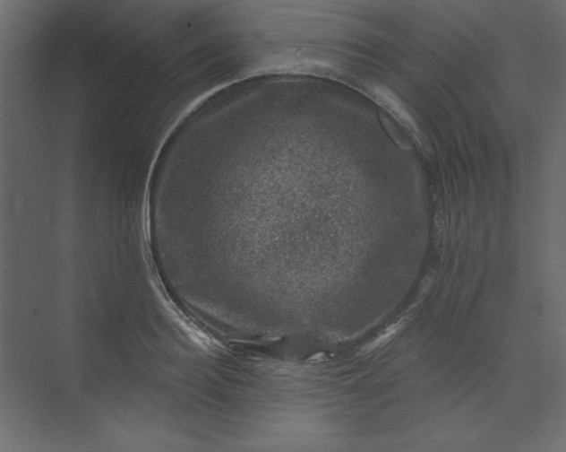 X0000073890940200608251428