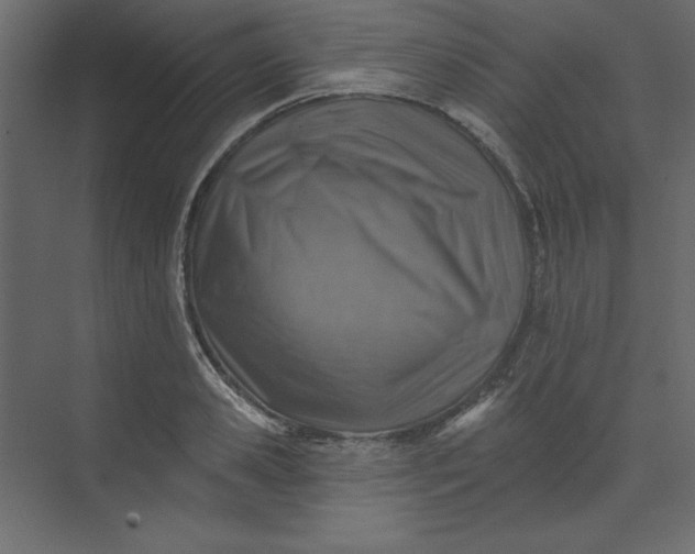 X0000073890941200608251428