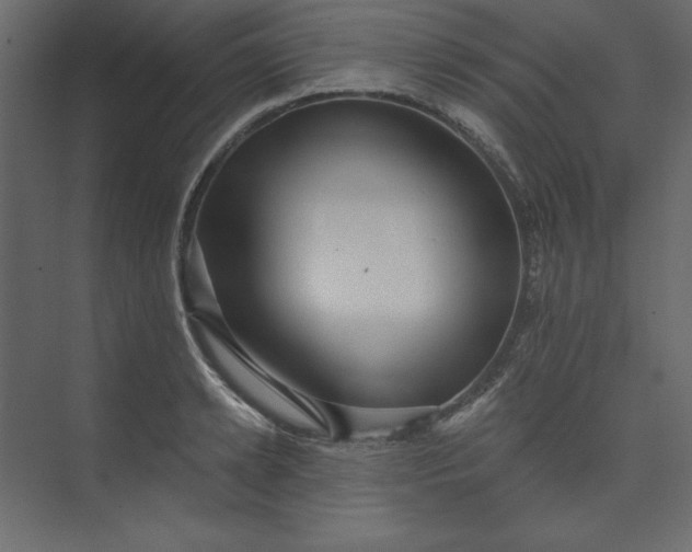 X0000073890942200608251428