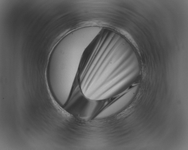 X0000073890946200608251428