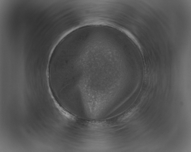 X0000073890951200608251428