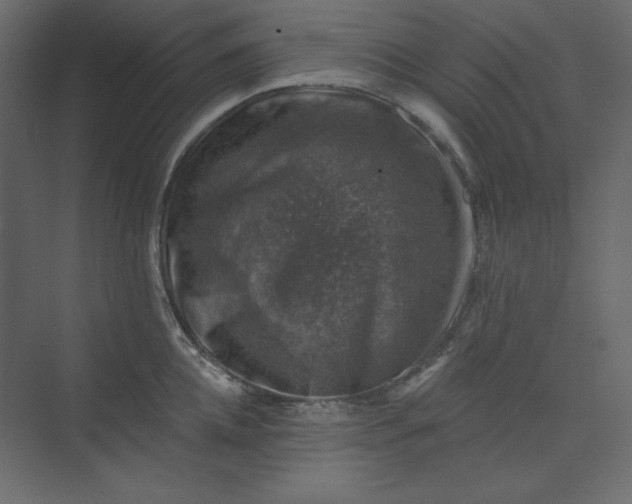 X0000073890952200608251428