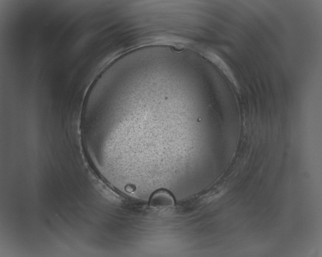 X0000073890954200608251428