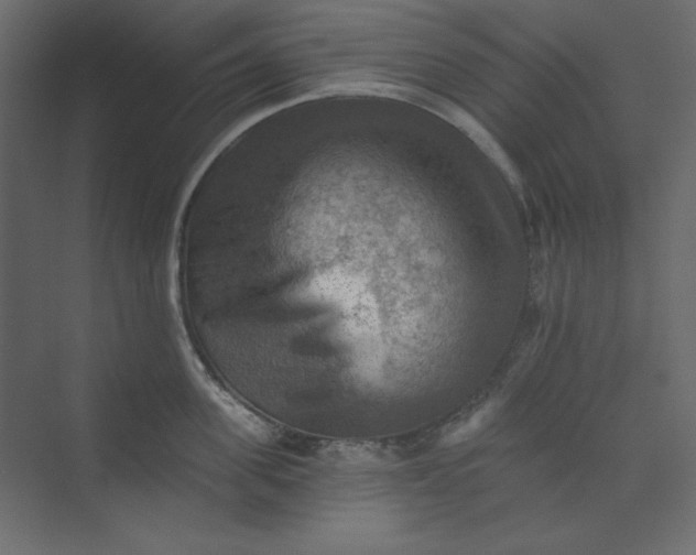 X0000073890955200608251428