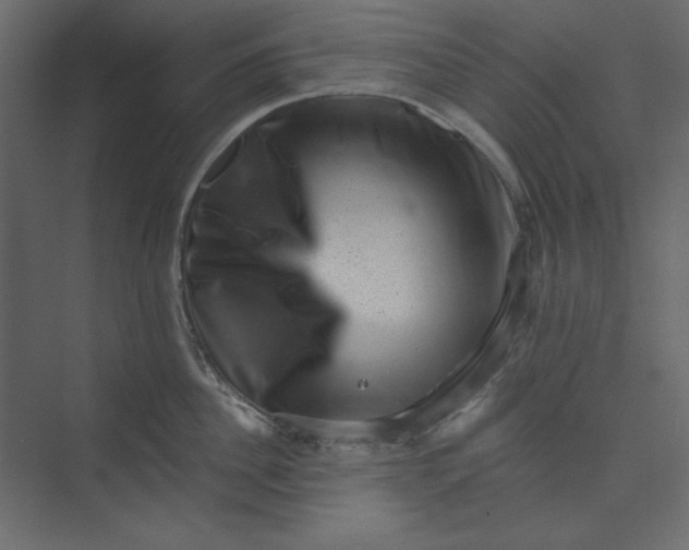 X0000073890956200608251428